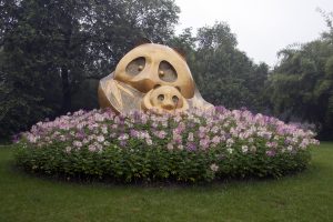 osos panda en Chengdu